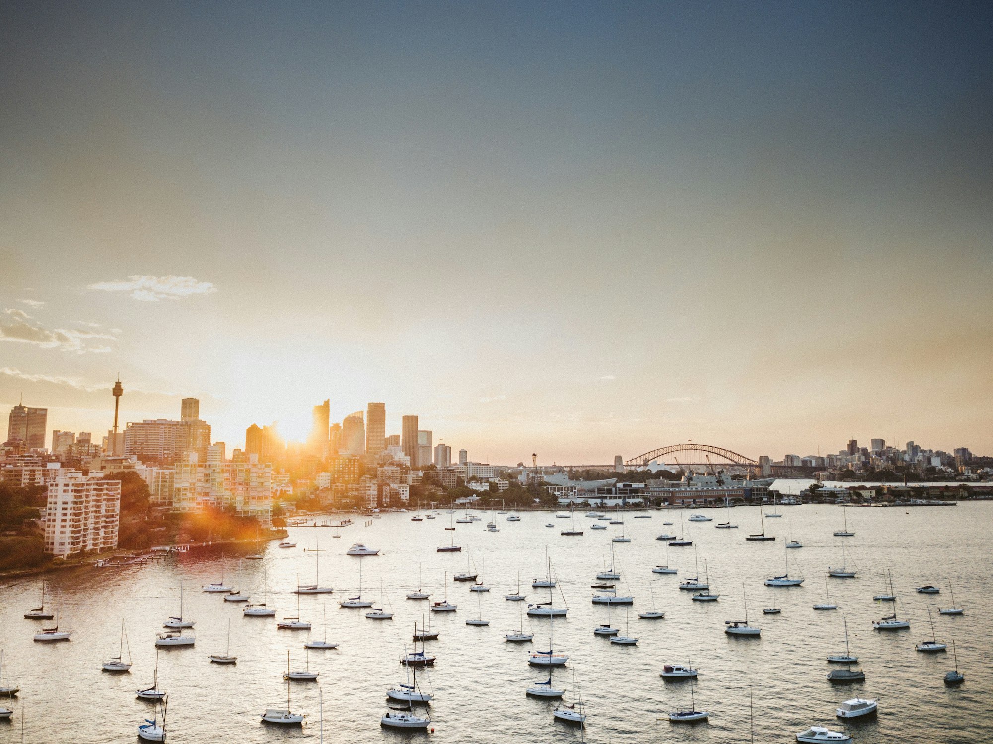 Sydney Harbour at golden hour, seen from the Barangaroo foreshore
